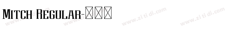 Mitch Regular字体转换 Mitch Regular字体转换